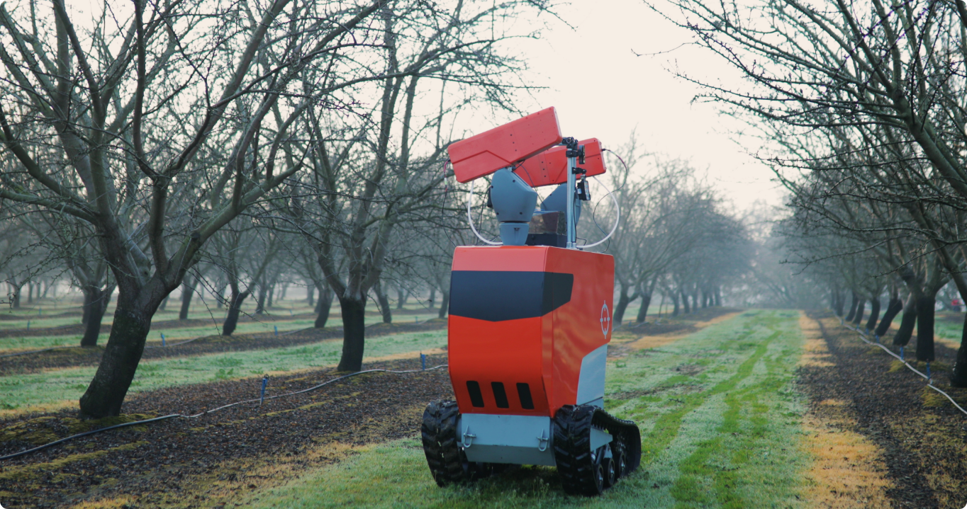 Robotic Mummy Removal Robot in Almond Orchard
