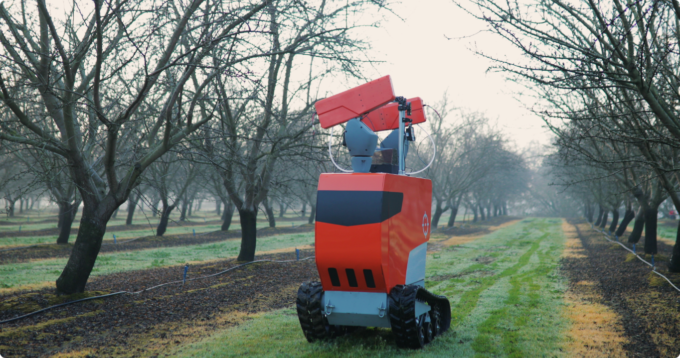 Rover 6 Robotic Mummy Removal Robot in Almond Orchard