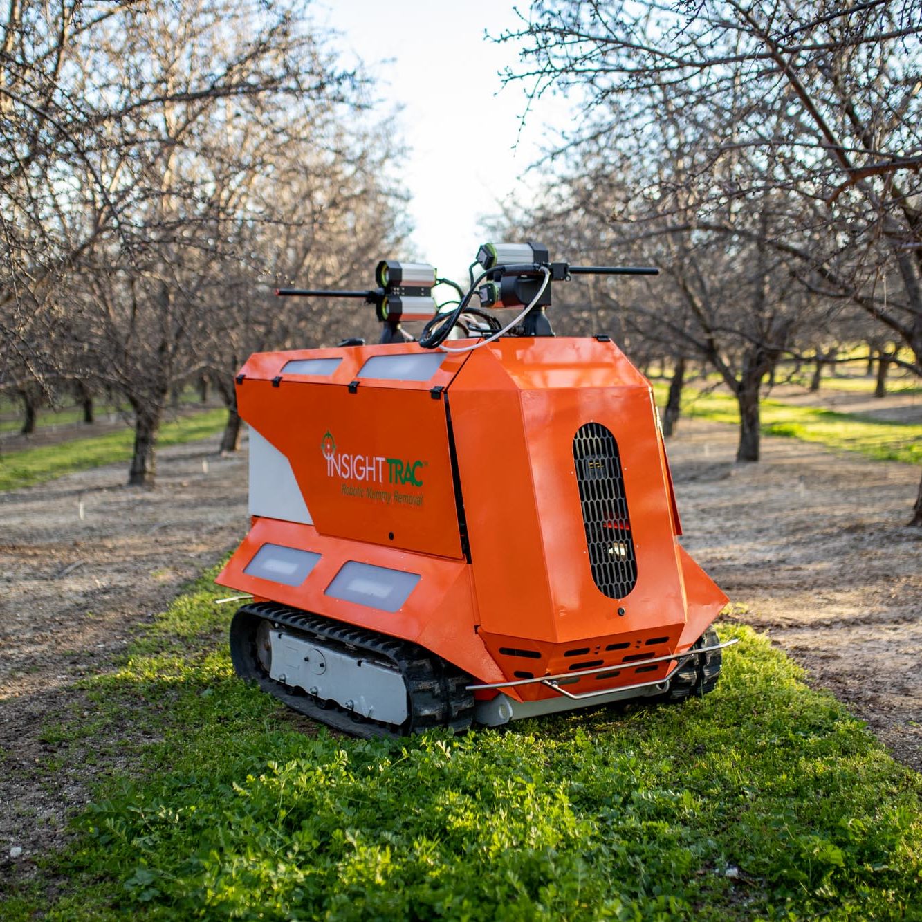 InsightTRAC Rover in an Almond Orchard