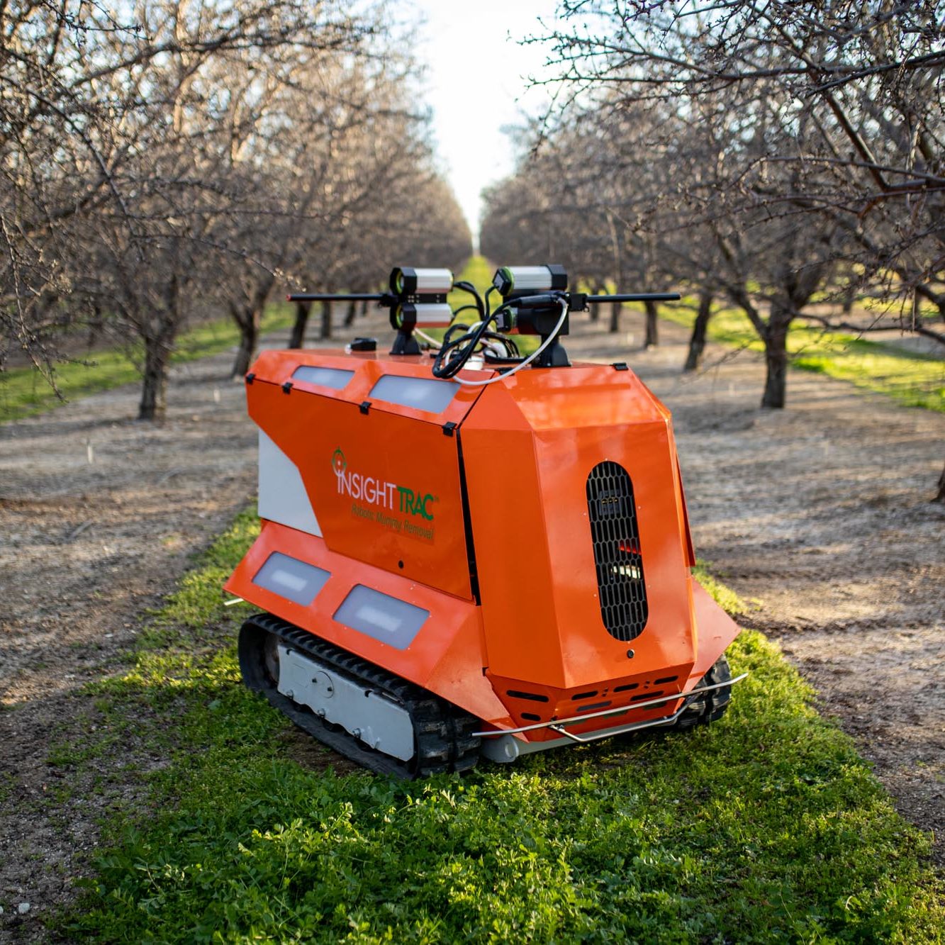 It Rover in an alomond orchard
