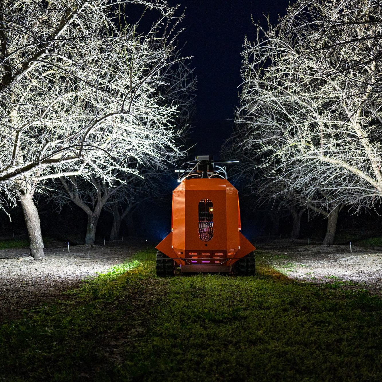 IT Rover in orchard at night